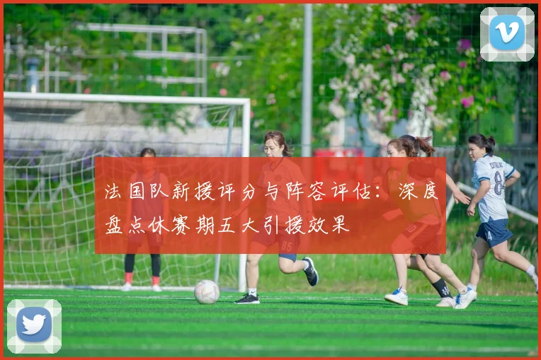 法国队新援评分与阵容评估:深度盘点休赛期五大引援效果