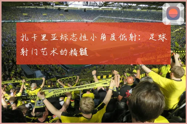 扎卡里亚标志性小角度低射：足球射门艺术的精髓